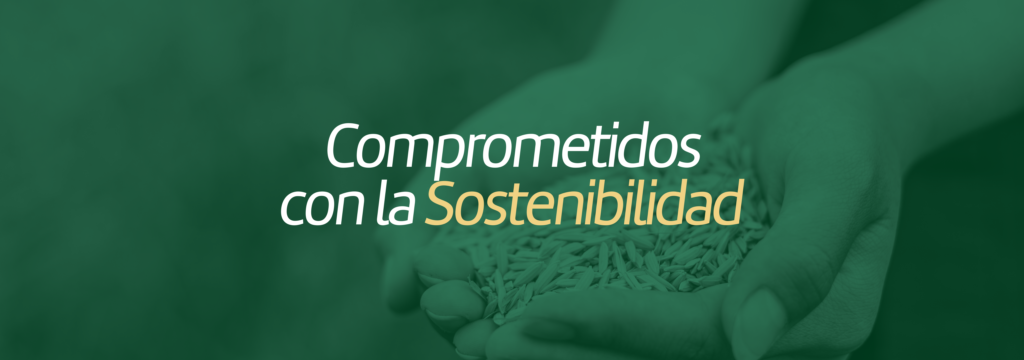 banner de sosteniblidad